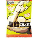 TRUSCO 【※軽税】 塩飴 塩の力 100g袋入 青梅味 (1袋入) ( TNU-100 ) トラスコ中山(株)