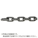 TRUSCO　JIS　F2106第一種規格相当　ロングリンクチェーン　スチール　磨き　線径13mm×長さ20．1M～21．0M　 TIC-13-LG-M-21C ( TIC13LGM21C ) トラスコ中山（株）