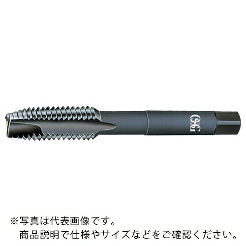OSG ポイントタップ 一般用ホモ処理 
