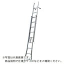 NAKAO 二連はしごサンノテ ( DEP-4.5 ) (株)ナカオ 【メーカー取寄】
