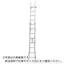 NAKAO 二連はしごサンノテ ( DEP-5.2 ) (株)ナカオ 【メーカー取寄】
