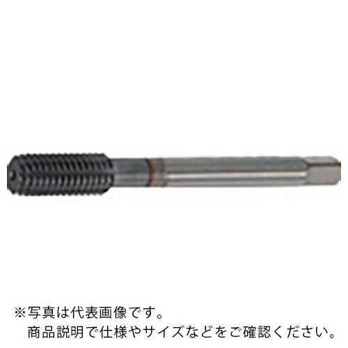  ֥륿եå M7X0.75 B6 47010 ( W-TFM7X0.75B6 ) ()