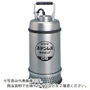 TERADA ステンレス水中ポンプ (SUS304) ( CS-250T 50HZ ) (株)寺田ポンプ製作所