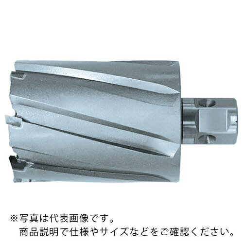 日東 ( 日東工器 ) ジェットブローチ ワンタッチタイプ 48X75L 07707 ( NO.07707 )