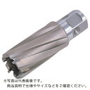 日東 ジェットブローチ 25.5X35L 46723 ( NO.46723 ) 日東工器(株) ( IVL77 )