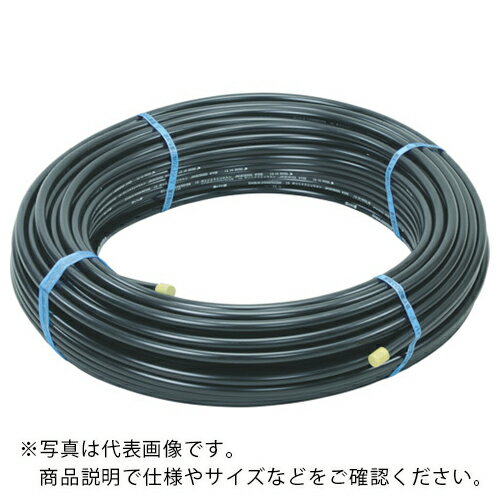 ܥߥå ݥ˥2ش 30X30M ( PE2-30X30M ) ()ܥߥå ڥ᡼