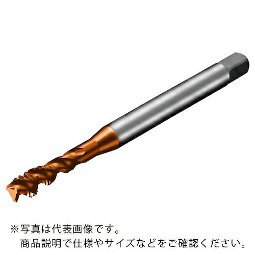 SANDVIK å300 ѥ륿å(781) C110 ( T300-XM100DK-1/4 C110 (781) ) ɥӥå()ޥȥѥˡ ڥ᡼