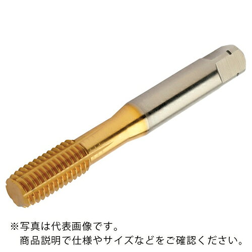 乐天商城 - SANDVIK ( サンドビック ) コロタップ400 転造タップ(780) F125 ( T400-PM101AE-8-32 F125 (780) ) 【メーカー取寄】