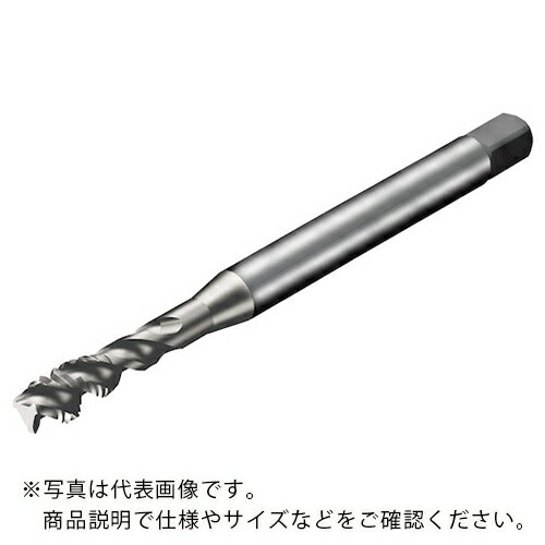 乐天商城 - SANDVIK ( サンドビック ) コロタップ300 スパイラルタップ(781) C150 ( T300-XM102AA-M4 C150 (781) ) サンドビック(株)コロマントカンパニー 【メーカー取寄】