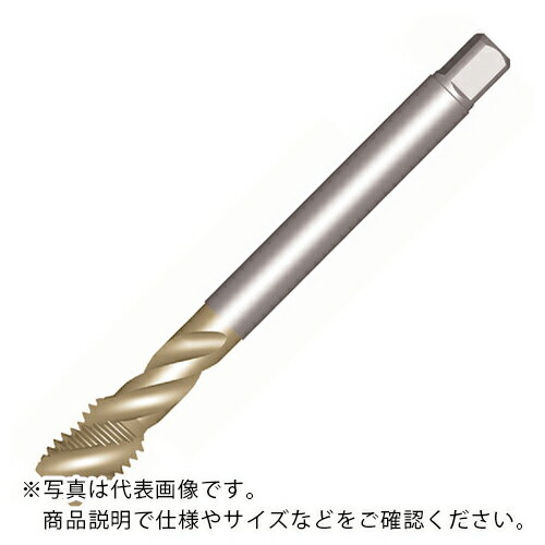 SANDVIK コロタップ300 スパイラルタップ(781) C110 ( T300-XM101AF-9/16 C110 (781) ) サンドビック(..