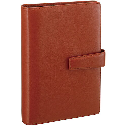 レイメイ ダヴィンチシステム手帳スタンダード(聖書)24MMブラウン ( DB3005C ) (株)レイメイ藤井