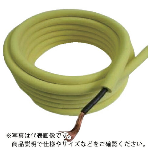 三ツ星 水中溶接用キャブタイヤケーブル 10M ( ES-WCT(U2)30Y-10M ) (株)三ツ星