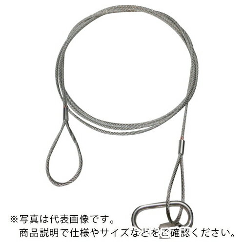 Rakuten - 共成 落下防止ステンレスワイヤー線径3mm(10本セット)700L ( 3-700 )