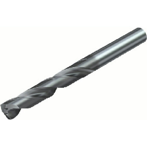 【SALE価格】SANDVIK コロドリル460 超