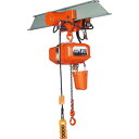 象印 電気チェーンブロック 1t 揚程7m (FAM-1 7m) ( FAM01070 ) 象印チェンブロック(株) 【メーカー取寄】