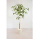 グリーンクロス 人工樹木/人工観葉植物 シラカシ ( 6300028764 ) (株)グリーンクロス 【メーカー取寄】