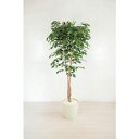 グリーンクロス 人工樹木/人工観葉植物 ベンジャミン ( 6300028763 ) (株)グリーンクロス 【メーカー取寄】