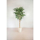 グリーンクロス 人工樹木/人工観葉植物 バーチ ( 6300028789 ) (株)グリーンクロス 【メーカー取寄】