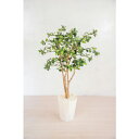 グリーンクロス 人工樹木/人工観葉植物 ガジュマル ( 6300028779 ) (株)グリーンクロス 【メーカー取寄】