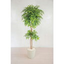 グリーンクロス 人工樹木/人工観葉植物 フランスベンジャミン 150cm ( 6300028768 ) (株)グリーンクロス 【メーカー取寄】