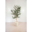 【SALE価格】グリーンクロス 人工樹木/人工観葉植物 オリーブ 160cm ( 6300028788 ) (株)グリーンクロス 【メーカー取寄】