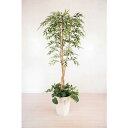 グリーンクロス 人工樹木/人工観葉植物 シラカシ寄植 ( 6300028762 ) (株)グリーンクロス 【メーカー取寄】