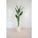 グリーンクロス 人工樹木/人工観葉植物 ストレチア ( 6300028786 ) (株)グリーンクロス 【メーカー取寄】