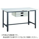 TRUSCO 軽荷重作業台(300kg)AE型 900X750XH740 薄型2段引出付 ダークグレー色 ( RAE-0975UDK2 DG ) トラスコ中山(株) 【メーカー取寄】