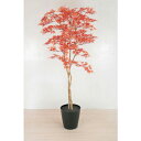 グリーンクロス 人工樹木/人工観葉植物 モミジ 小 ( 6300033750 ) (株)グリーンクロス 【メーカー取寄】
