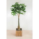 グリーンクロス 人工樹木/人工観葉植物 パキラ ( 6300033755 ) (株)グリーンクロス 【メーカー取寄】