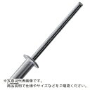 TRUSCO ブラインドリベット(アルミ/鉄) 6-3 40本入 ( AT-63A ) トラスコ中山(株)