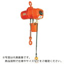 象印 DA型電気チェーンブロック(定速型)2.8t・4m (DA-2.8 4m) ( DA-02840 ) 象印チェンブロック(株) 【メーカー取寄】