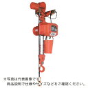 象印 DAM型電気トロリ結合式電気チェーンブロック(定速型) 2.8t・4m (DAM-2.8 4m) ( DAM-02840 ) 象印チェンブロック(株) 【...