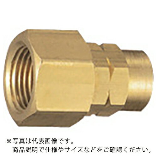 ����� �ۡ��������å� 6��9mm��G1/4 ( H6-G2F (ZT-62) ) �������̾�(��)