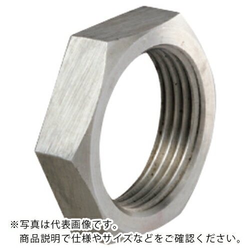 IWATA դʥå դʥå SUS  ( LNS-16 ) () ڥ᡼