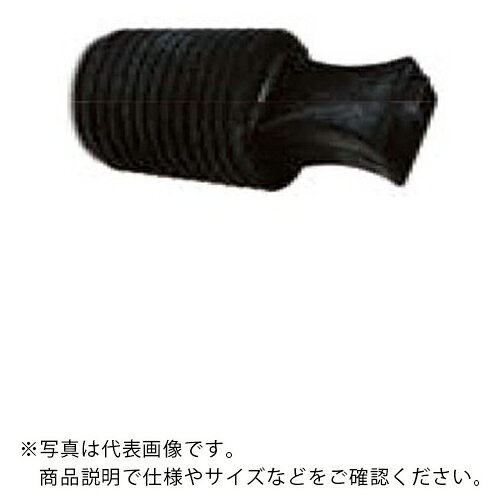 IWATA ߿ץ饰() EPDM(10) ( GKRE00402-P ) () ڥ᡼