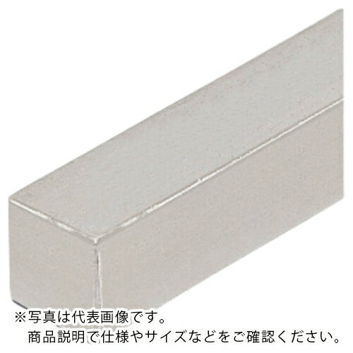 IWATA 角シャフト (中実シャフト) ( FSFMMH200-S2S ) (株)岩田製作所 【メーカー取寄】