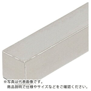 IWATA 角シャフト (中実シャフト) ( FSFMMH200-S2S ) (株)岩田製作所 【メーカー取寄】
