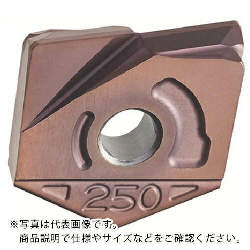 乐天商城 - MOLDINO カッタ用チップ ZCFW300-R0.5 PCA12M PCA12M ( ZCFW300-R0.5 PCA12M ) 【2個セット】