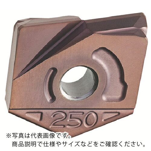 乐天商城 - MOLDINO カッタ用チップ ZCFW300-R2.0 PCA12M PCA12M ( ZCFW300-R2.0 PCA12M ) 【2個セット】
