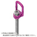RUD ロードリングプラスロングボルト VLBG-PLUS-M42L 10T ( VLBG-PLUS-M42L-10T ) (株)ルッドスパンセットジャパン