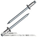 エビ ブラインドリベット(ステンレス/スティール製) 4-6(300本入) エコBOX ( NSS 4-6EB ) (株)ロブテックス