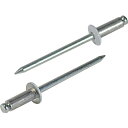 【SALE価格】エビ カラーブラインドリベット5-4アルミ/スチール(300本入)リベット長10.5MM ホワイト ( CNSA54WEB ) (株)ロブテックス