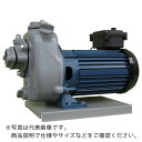 TERADA 陸上ポンプ セルプラポンプ 全閉外扇屋外形電動機付 60Hz三相200 全揚程7.5m ( MP2N-0021TR 60HZ ) (株)寺田ポンプ...