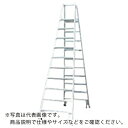 ピカ 上わく付き専用脚立SEG型 10尺 ( SEG-A300 ) (株)ピカコーポレイション ( KFX11 )