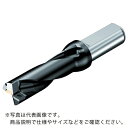 SANDVIK 刃先交換式ドリル スーパーUドリル(465) ( 880-D3800L40-02 (465) ) サンドビック(株)コロマントカンパニー