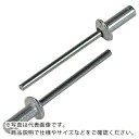 【SALE価格】エビ ブラインドリベット・シールドタイプ エコBOX アルミ/スティール 6-2 (150本入) ( NSA62CEB ) (株)ロブテックス