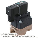 CKD 水用小形パイロット式電磁弁 ( FWD11-10A-02GB-AC100V ) CKD(株) ( PFV50 )(4)