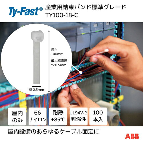 TY-Fast ��«�Х�� �����ѥ����֥륿�� ɸ�� �ʥ����뿧 ��2.5��Ĺ��100mm 100������ ( TY100-18-C ) ABB(��)