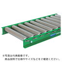 TS スチールローラコンベヤφ60.5-W400XP100X2000L ( M6023-401020 ) (株)寺内製作所 【メーカー取寄】